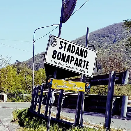 Cappellino Di Paglia
