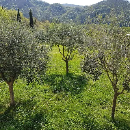 Cappellino Di Paglia
